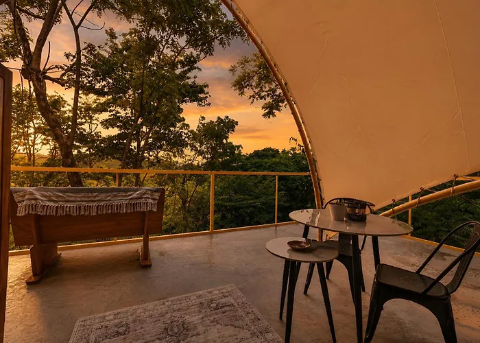 Boutique Safari #2 *